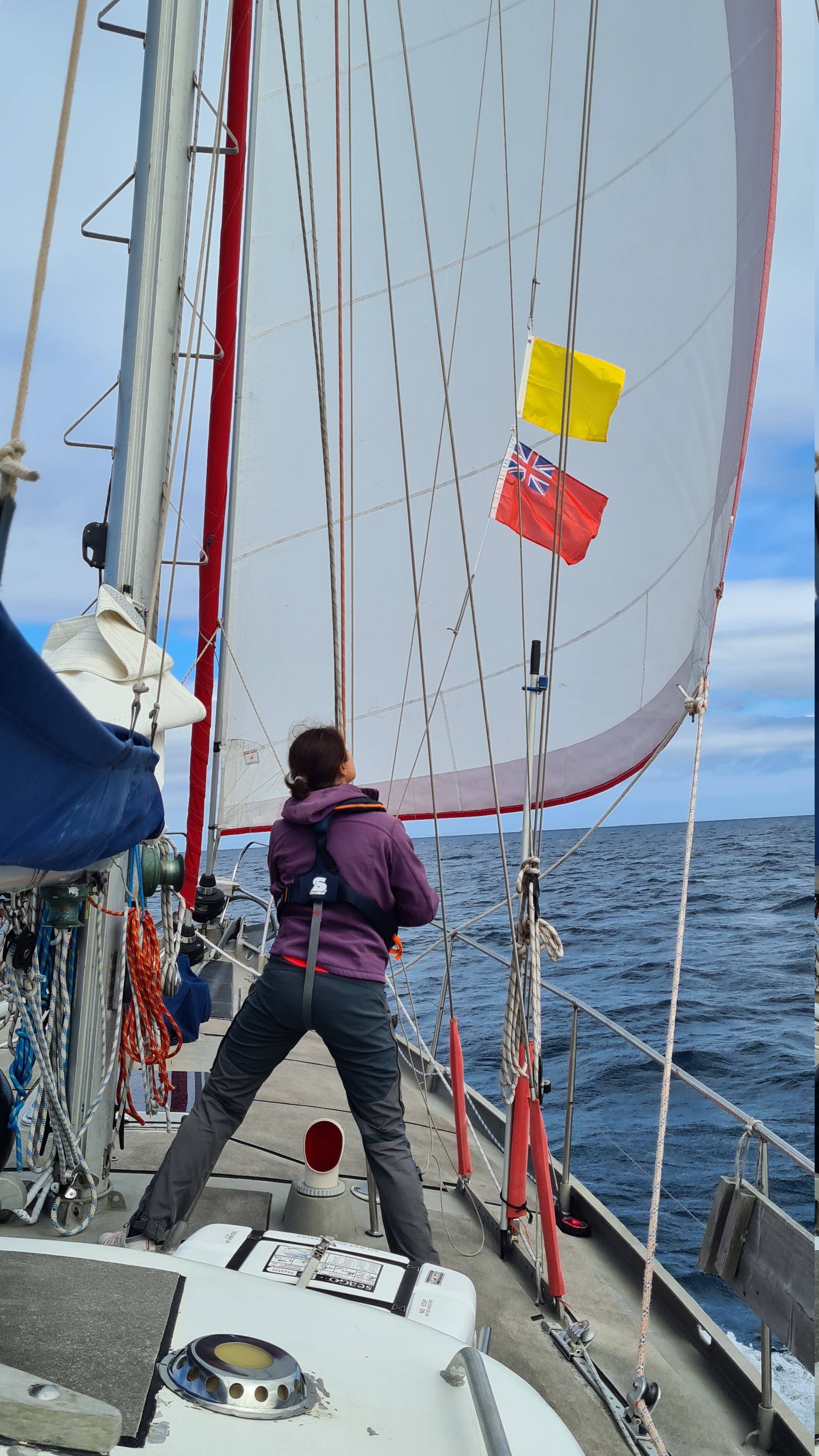 UK Flagge und Q Flagge